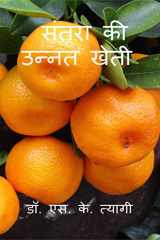 Improved Cultivation of Mandarin / संतरा की उन्नत खेती cover image