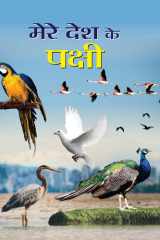 Mere Desh Ke Pakshi - Bestseller Book by YASH: MERE DESH KE PAKSHI cover image