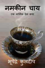 Namkin chay cover image