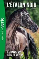 La naissance d'un champion cover image