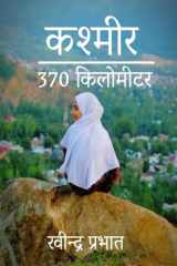 Kashmir 370 Kilometer उपन्यास cover image
