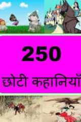 250 Short Stories (Hindi) cover image