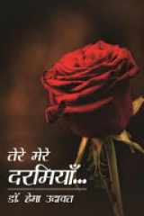 Tere Mere Darmiyaan cover image