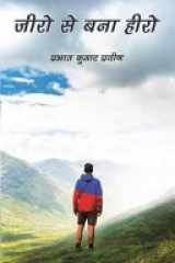 Zero Se Bana Hero cover image