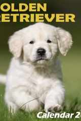 White Golden Retriever Calendar 2022 Cute Dog Breed Golden Puppies Photos Mini Calendar, Puppy Calendar Desk January to December, Daily Small Square Day to Day Calendar 12 Month, Funny Animal Wildlife Calendar Photo, Monthly Planner for Dog Owner Lover cover image