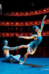 The Royal Ballet Wall Calendar 2022 (Art Calendar) cover image