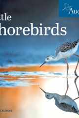 Audubon Little Shorebirds Mini Wall Calendar 2022 cover image