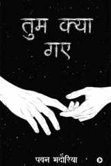 Tum Kya Gaye cover image