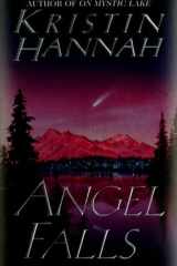 Angel Falls A Novel cover image
