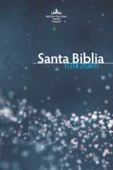 Reina-Valera 1960 Santa Biblia, Giant Print Spanish Bible, Paperback (Spanish Edition) cover image