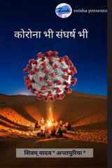 Corona Bhi Sangharsh Bhi cover image