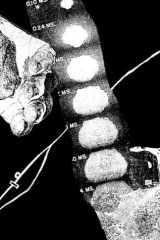 Bomb cover image