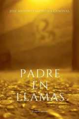 Padre En Llamas cover image