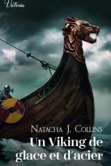 Un Viking de glace et d'acier cover image