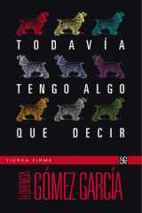 Todavía tengo algo que decir cover image