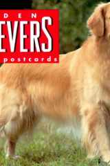 Golden Retrievers Postcard Book cover image