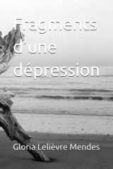 Fragments d’une dépression (French Edition) cover image