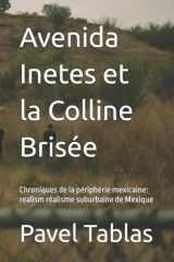 Avenida Inetes et la Colline Brisée: Chroniques de la périphérie mexicaine: realism réalisme suburbaine de Mexique (French Edition) cover image