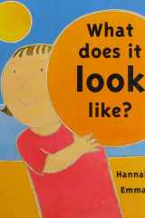 What Does It Look Like? cover image