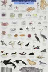 Mac's Field Guides Olympic National Park cover image