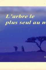 L'arbre le plus seul au monde (French Edition) cover image