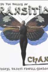 Through the Valley of Transition... Change cover image