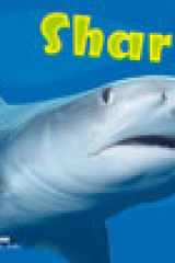 Sharks cover image