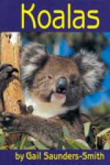 Koalas cover image