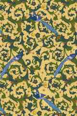 Pavone - Lined cover image