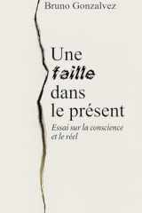 Une Faille Dans Le Présent: Essai sur la conscience et le réel (French Edition) cover image