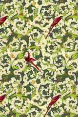 Pappagallo Lined cover image