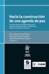Hacia la construcción de una agenda de paz. Contribución de los Medios Alternos de Solución de Controversias cover image