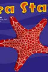 Sea Stars cover image