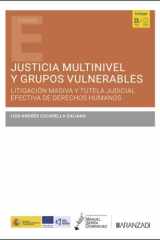 Justicia multinivel y grupos vulnerables cover image