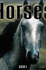 Horses 2001 Calendar cover image