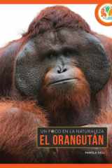 El orangután: Spanish Edition cover image