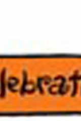 LITTLE CELEBRATIONS, NON-FICTION, SUNNY DAYS, SINGLE COPY, STAGE 1A cover image