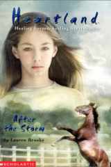 After the Storm cover image