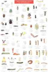 Mac's Field Guides Northeast Garden Bugs cover image