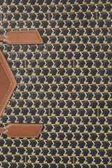 Moynat cover image