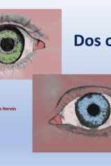 Dos Ojos (Comics by Francisco Capilla Hervás) (Spanish Edition) cover image