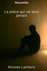 La pièce qui ne dort jamais cover image