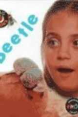 Beetle (Bug Books) cover image