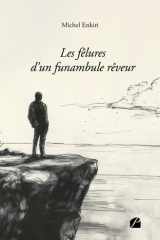 Les fêlures d’un funambule rêveur (French Edition) cover image