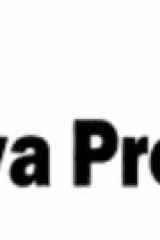 Server-Side Programming for WWW Developers cover image