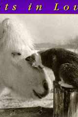Cats in Love cover image