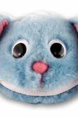 Racy Rabbit. cover image