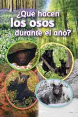¿Qué Hacen Los Osos Durante El Año? cover image