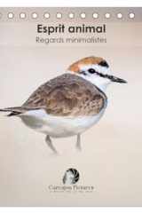 Esprit animal - Regards minimalistes (Calendrier de bureau 2026 DIN A5 vertical), CALVENDO calendrier mensuel: Un calendrier raffiné qui capture, mois après mois, la force et l'émotion des animaux à travers des portraits minimalistes et épurés. cover image