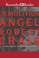 Demolition Angel cover image